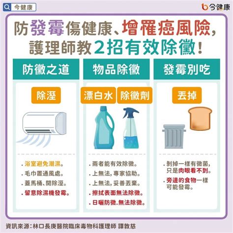 霉菌處理|家中物品發霉，千萬別用紙巾擦拭！譚敦慈曝2招有效。